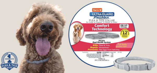 Protect Your Pup for FREE – Hartz UltraGuard PROMAX Collars!