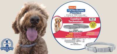 Protect Your Pup for FREE – Hartz UltraGuard PROMAX Collars!