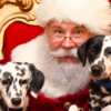 Santa’s Coming to PetSmart! Get a Free Photo with Your Furry Friend!