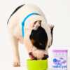 Chewy Giveaway: Free Native Pet Goat Milk for Happy Pets!
