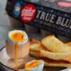 Vital Farms Medium Pasture-Raised True Blue Eggs for FREE!