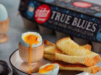 Vital Farms Medium Pasture-Raised True Blue Eggs for FREE!