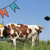  Win a $200 Grocery Gift Card from Drink Milk