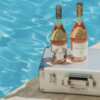 Jet-Set with Your Wine – Win a VinGardeValise Travel Case!