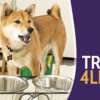 Dog-Approved Deal: FREE Zignature Dog Food!