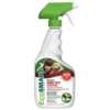 Organic Indoor Insecticide for Free