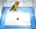 Bird Owners: Get FREE Cage Liner Samples
