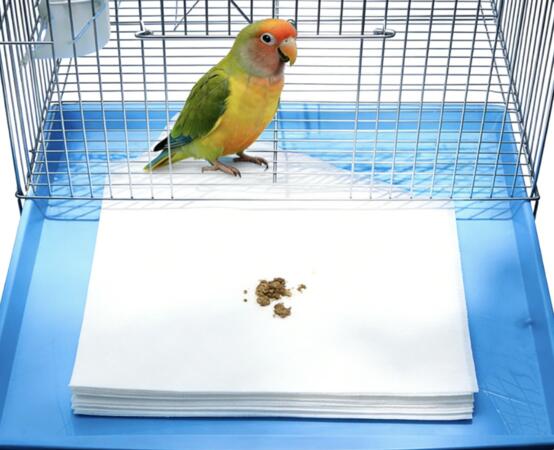 Bird Owners: Get FREE Cage Liner Samples