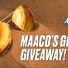  Maaco’s Golden Sweepstakes