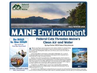 Limited-Time Offer: FREE “Don’t Let Good Food Go Bad” Magnet