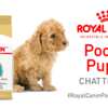 Royal Canin Poodle Puppy Chatterbox Kit for FREE!