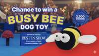 Get Your Buzz On With the Purina Busy Bee Sweepstakes