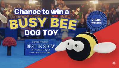 Get Your Buzz On With the Purina Busy Bee Sweepstakes