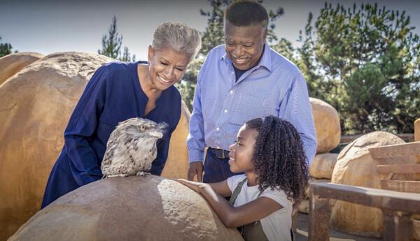 Seniors 65+ Visit the Safari Park for Free!