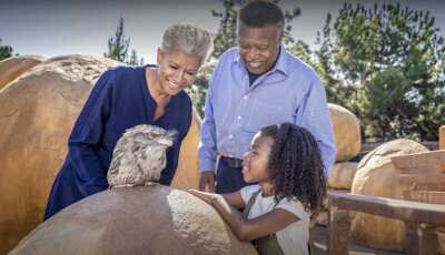 Seniors 65+ Visit the Safari Park for Free!