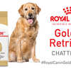 Claim your Free Royal Canin Golden Retriever Chatterbox Kit