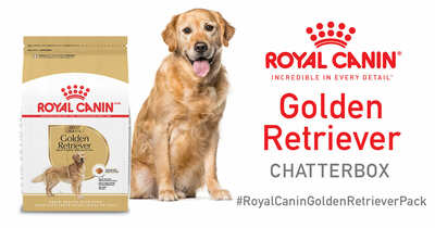 Claim your Free Royal Canin Golden Retriever Chatterbox Kit