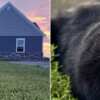 OH, WV, PA, MI Residents: Free 2025 Wayne Homes Pet Calendar!