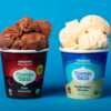 Cosmic Bliss Organic Plant-Based Frozen Dessert for Free