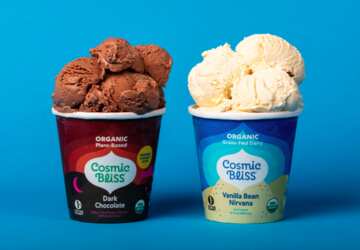 Cosmic Bliss Organic Plant-Based Frozen Dessert for Free