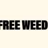 Sample the Experience – Free Cannabis Samples at Gotham!