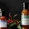 Savor the Flavors of the World: Free Classes at Williams Sonoma!