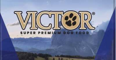 Sweepstake: Win a VICTOR Super Premium Pet Food Adventure for a YEAR