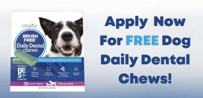 No Brushing Needed – Try Vetality Dog Dental Chews Free!