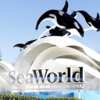 FREE SeaWorld Teacher Unlimited Admission Pass!