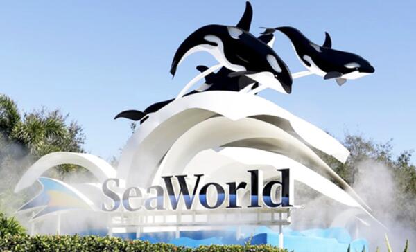 FREE SeaWorld Teacher Unlimited Admission Pass!