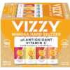 Vizzy Hard Seltzer 12-Pack for Free After Rebate