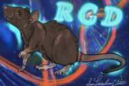 2026 Rat Genome Database Calendar — Grab Your Free Copy