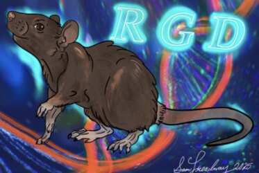 2026 Rat Genome Database Calendar — Grab Your Free Copy