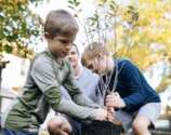 Plant a FREE Tree with Claritin