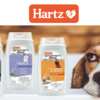 Fresh Fur, Free Shampoo – Hartz Groomer’s Best Could Be Yours!
