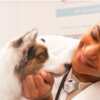 Free Vet Visit for Your Pet @ Banfield Pet Hospital