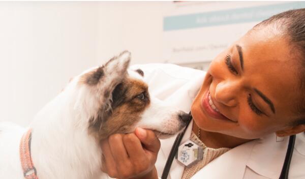 TrySpree Free Vet Visit for Your Pet Banfield Pet Hospital TrySpree Free Vet Visit for Your Pet Banfield Pet Hospital
