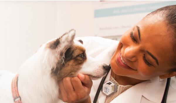 Free Vet Visit for Your Pet @ Banfield Pet Hospital