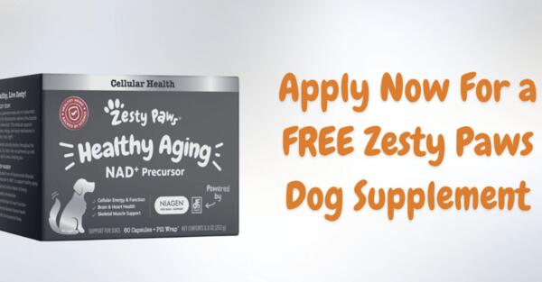 Your Dog Deserves the Best – Try Zesty Paws FREE!