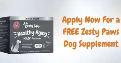 Your Dog Deserves the Best – Try Zesty Paws FREE!