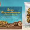 Discover Herbal Goodness – Free Dragon Herbs + Shipping