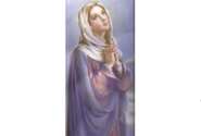 Show Your Faith – FREE Prayer Pledge Magnet Available Now