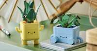 Build for FREE – LEGO Botanicals Set After Cash Back at Walmart!