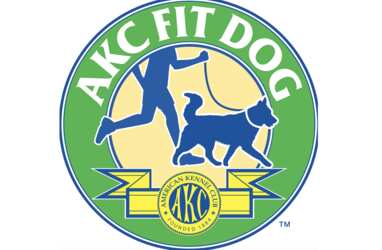 Let the World Know You’re a FIT DOG Fan – FREE Magnet!