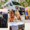 Outdoorsy Dog Days of Summer Giveaway – Enter Now!