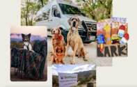 Outdoorsy Dog Days of Summer Giveaway – Enter Now!