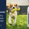 EcoStrong Outdoor Odor Eliminator — FREE