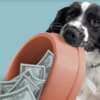 Spoil Your Pup! Win a $1,000 Blue Buffalo Love Made Fresh Dog Tax Credit
