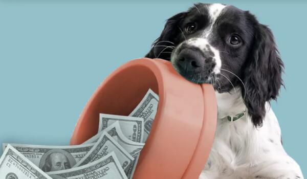 Spoil Your Pup! Win a $1,000 Blue Buffalo Love Made Fresh Dog Tax Credit