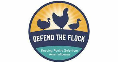 Get your free Defend the Flock Magnet